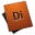 Director CS4 Icon 32x32 png